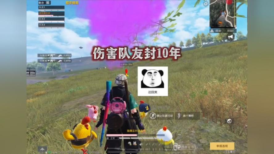 和平透视自瞄辅助器免费版苹果